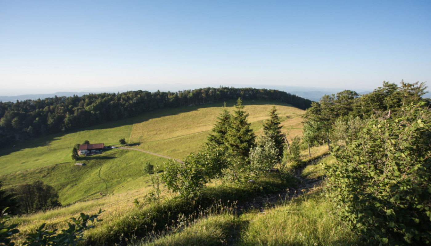 Recommandations 2026 : quel chalet louer dans le Jura ?